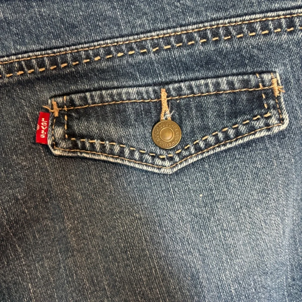 Levis levis 545
